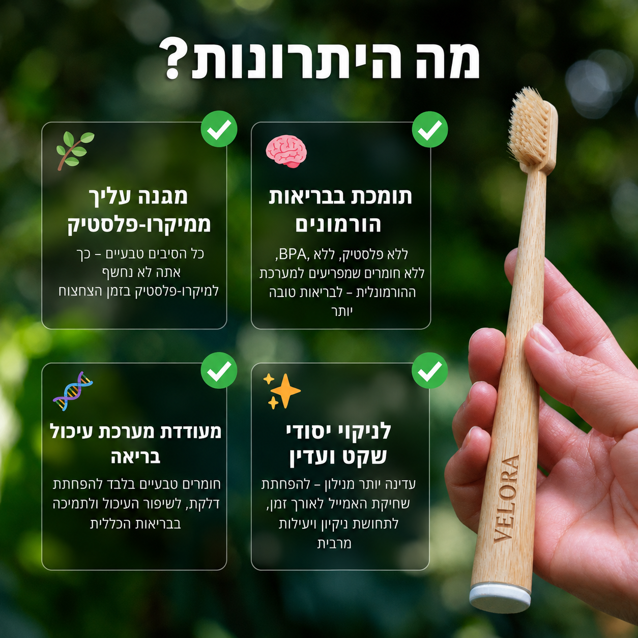 מברשת הבמבוק - VELORA