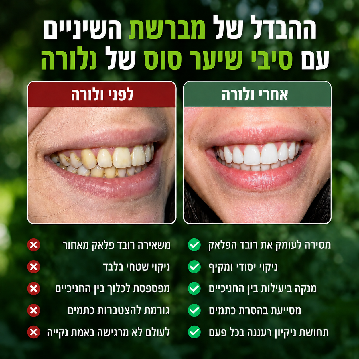 מברשת הבמבוק - VELORA